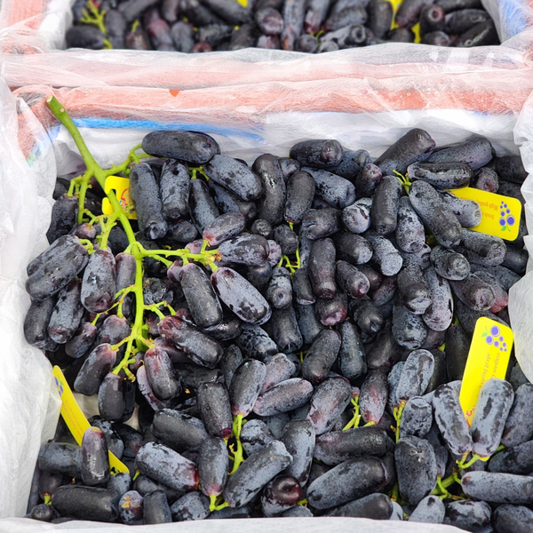  [Chỉ Giao HCM] Nho đen ngón tay - 500g 