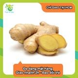  [Chỉ Giao HCM] Củ gừng - 100g 