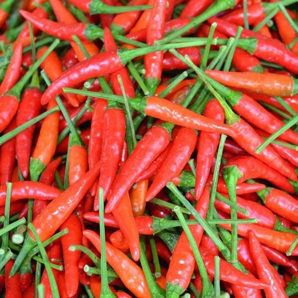  [Chỉ Giao HCM] Ớt Xiêm Đỏ 
