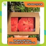  [Chỉ Giao HCM] Hộp Dưa Hấu - 500g 