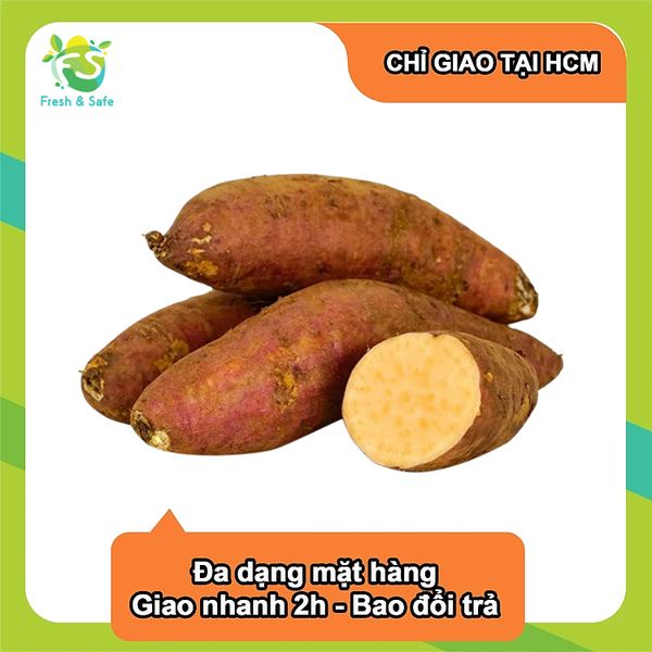  [Chỉ Giao HCM] Khoai lang mật 