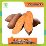  [Chỉ Giao HCM] Khoai lang mật 