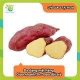  Khoai lang Nhật - 1kg 