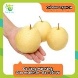  [Chỉ Giao HCM] Lê đường 