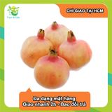  [Chỉ Giao HCM] Lựu đỏ thường 