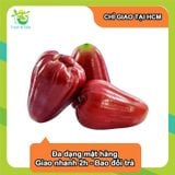  [Chỉ Giao HCM] Mận đỏ An Phước 