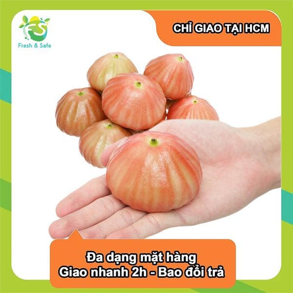  [Chỉ Giao HCM] Mận đá 
