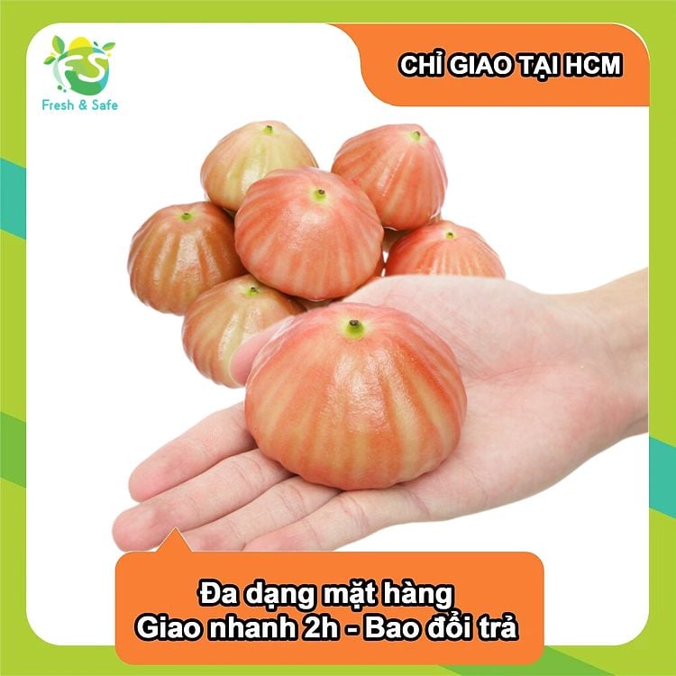  [Chỉ Giao HCM] Mận đá 
