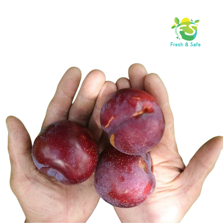  [Chỉ Giao HCM] Mận hậu Hà Nội 