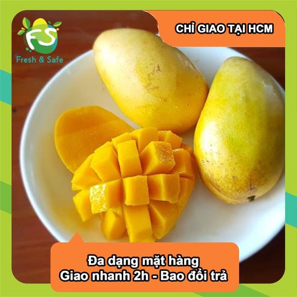  [Chỉ Giao HCM] Xoài cát Hòa Lộc - 3kg 