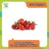  [Chỉ Giao HCM] Cà chua bi đỏ - 1kg 