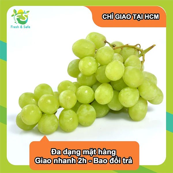  [Chỉ Giao HCM] Nho xanh Ninh Thuận - 500g 