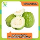  [Chỉ Giao HCM] Ổi có hạt/ Ổi Lê/ Ổi Đài Loan 