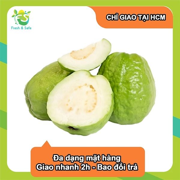  [Chỉ Giao HCM] Ổi có hạt/ Ổi Lê/ Ổi Đài Loan 