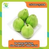  [Chỉ Giao HCM] Ổi có hạt/ Ổi Lê/ Ổi Đài Loan 