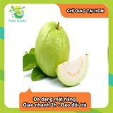  [Chỉ Giao HCM] Hộp Ổi - 500g 