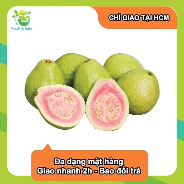  [Chỉ Giao HCM] Ổi trân châu/ Ổi ruột đỏ 