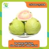  [Chỉ Giao HCM] Ổi trân châu/ Ổi ruột đỏ 
