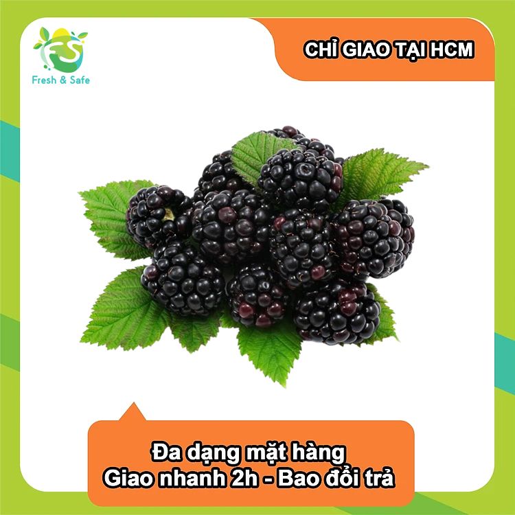  Phúc bồn tử (mâm xôi) Blackberry - Hộp 170gr 