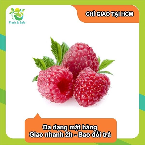  [Chỉ Giao HCM] Phúc bồn tử đỏ/ Raspberry - hộp 170g 