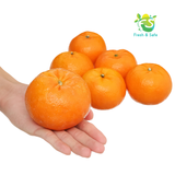  Quýt Ai Cập -1kg 