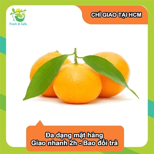  [Chỉ Giao HCM] Quýt Thái - 1kg 