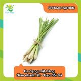  [Chỉ Giao HCM] Sả Cây 