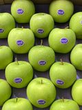 [Chỉ Giao HCM] Táo xanh nhập khẩu Granny Smith 