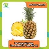 [Chỉ Giao HCM] Thơm trái nguyên vỏ - 1 trái 
