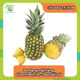  [Chỉ Giao HCM] Thơm trái nguyên vỏ - 1 trái 