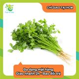  [Chỉ Giao HCM] Ngò Rí 