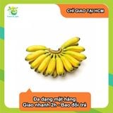  [Chỉ Giao HCM] Chuối Cau - 700g 