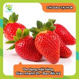  [Chỉ Giao HCM] Dâu Tây giống New Zealand - hộp  500g 