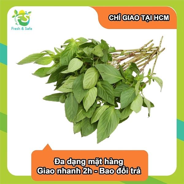  [Chỉ Giao HCM] Húng Quế - 100g 