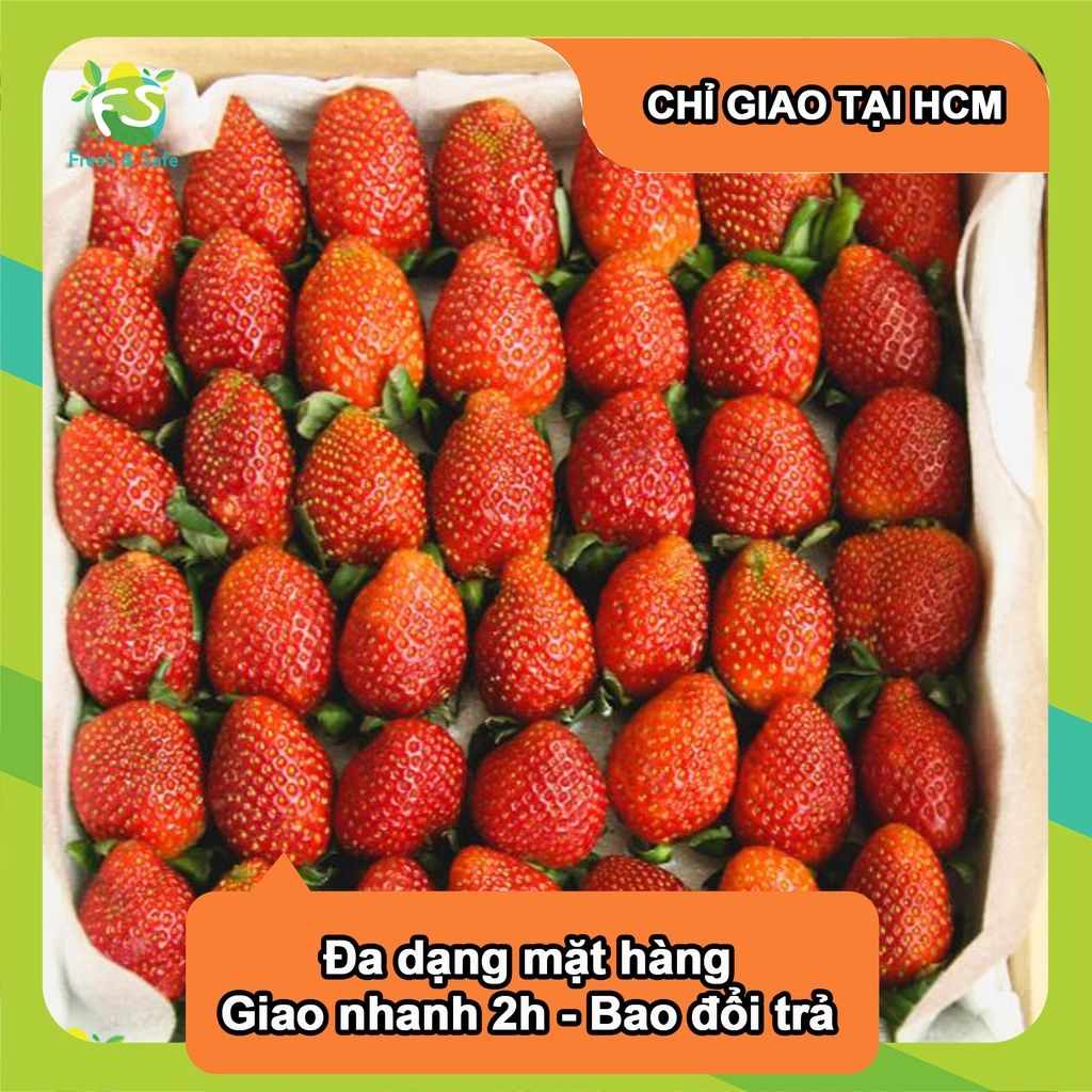  [Chỉ Giao HCM] Dâu Tây giống New Zealand - hộp 250g 