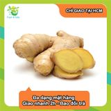  [Chỉ Giao HCM] Gừng - 100g 