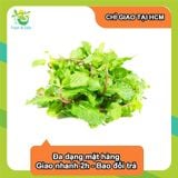  [Chỉ Giao HCM] Húng Lủi - 100g 