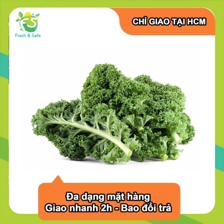  [Chỉ Giao HCM] Cải Xoăn Kale - 500g 