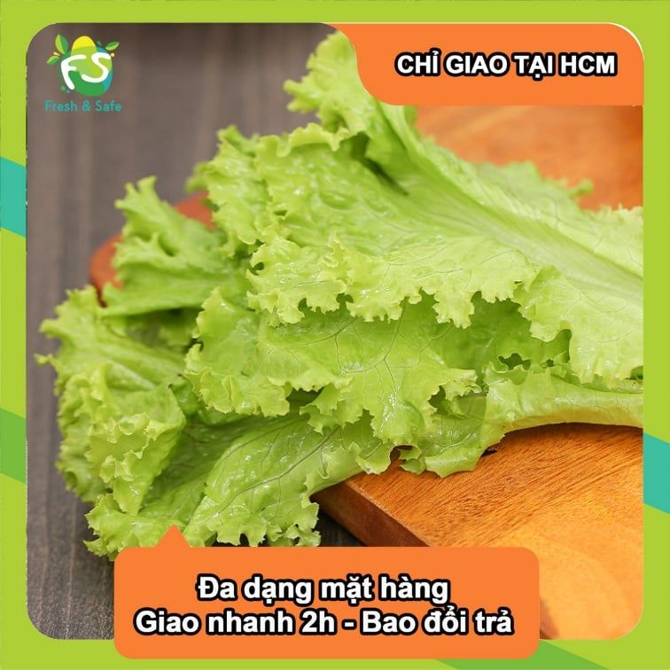  [Chỉ Giao HCM] Xà Lách Lolo Xanh - 300g 