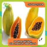  [Chỉ Giao HCM] Đu Đủ Vàng - trái 1.5kg 