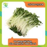  [Chỉ Giao HCM] Cải Mầm - 100g 