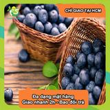  [Chỉ Giao HCM] Việt Quất - hộp 125g 