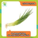  [Chỉ Giao HCM] Hành Lá - 100g 