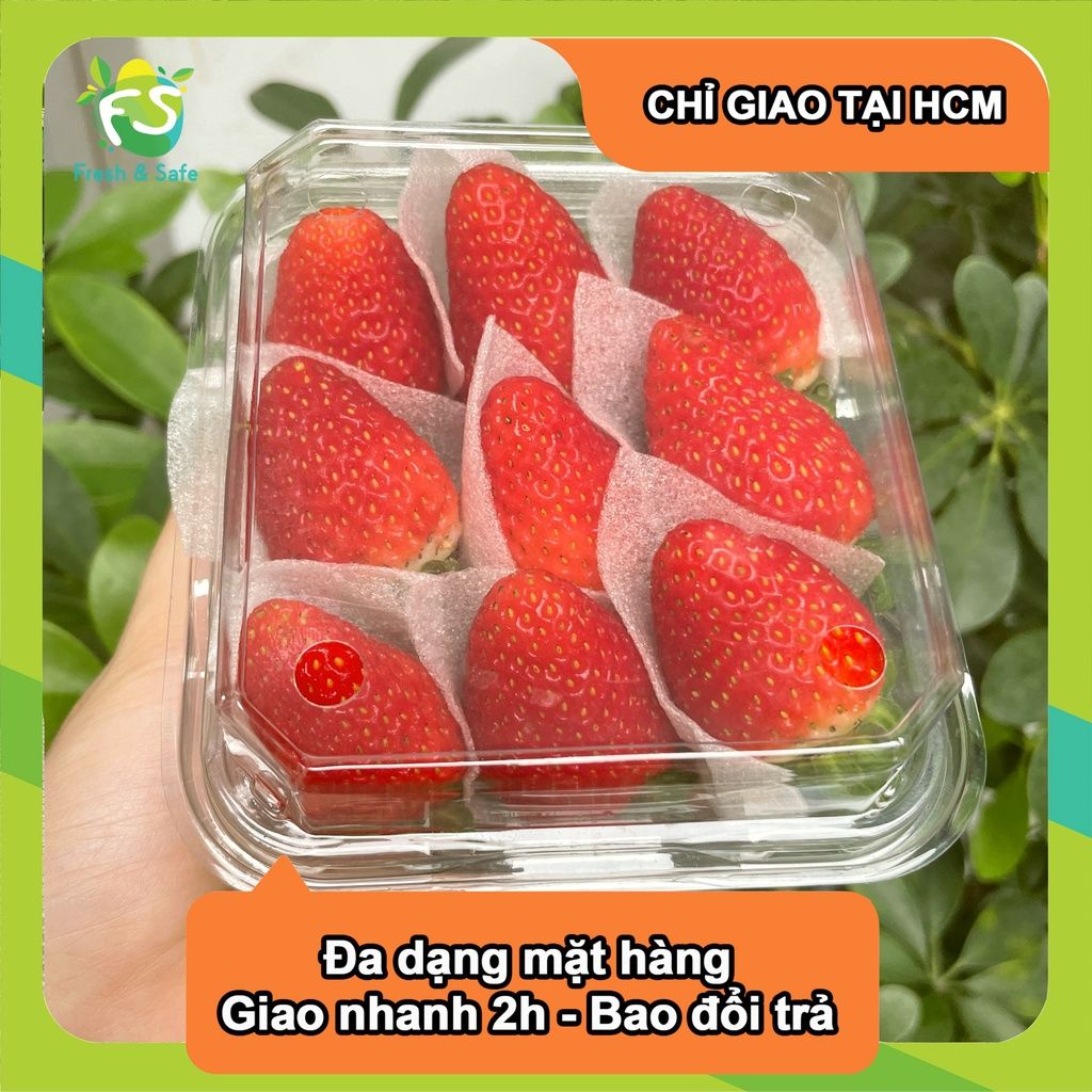  [Chỉ Giao HCM] Dâu Tây giống New Zealand - hộp 250g 