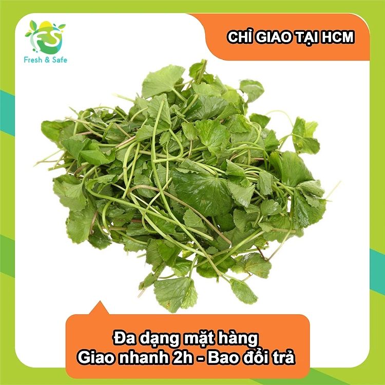  [Chỉ Giao HCM] Rau Má - 300g 