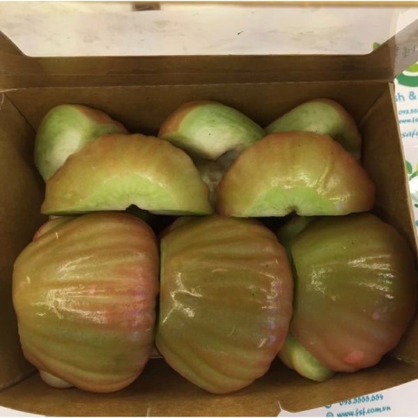  [Chỉ Giao HCM] Hộp mận đá - 500g 