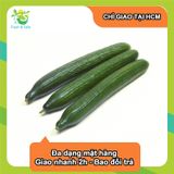  [Chỉ Giao HCM] Dưa Leo Nhật - 500g 