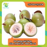  [Chỉ Giao HCM] Vú Sữa - 1kg 