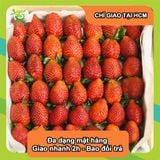  [Chỉ Giao HCM] Dâu Tây giống New Zealand - hộp  500g 