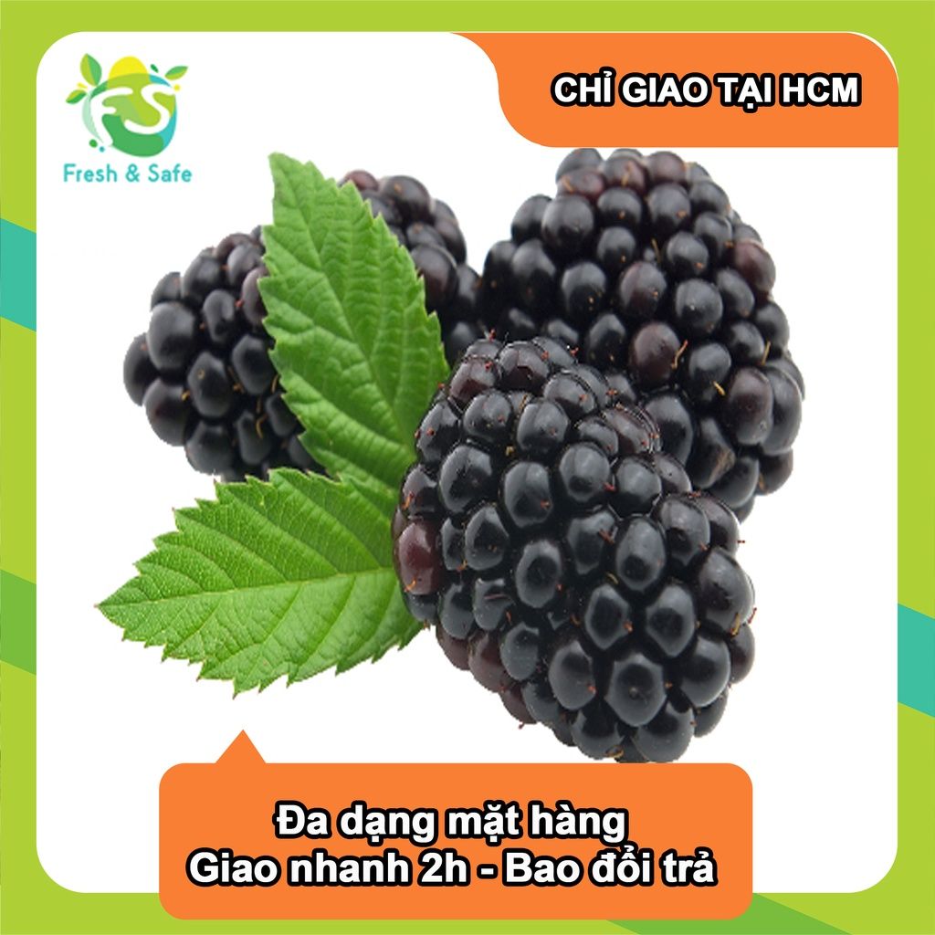  [Chỉ Giao HCM] Phúc Bồn Tử Đen Blackberry - hộp 170g 